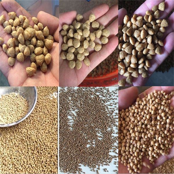 fish feed making extruder fish feed making extruder