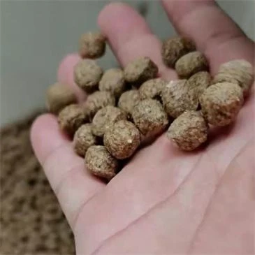 animal-pet-cat-dog-bird-piglets-food-puffing