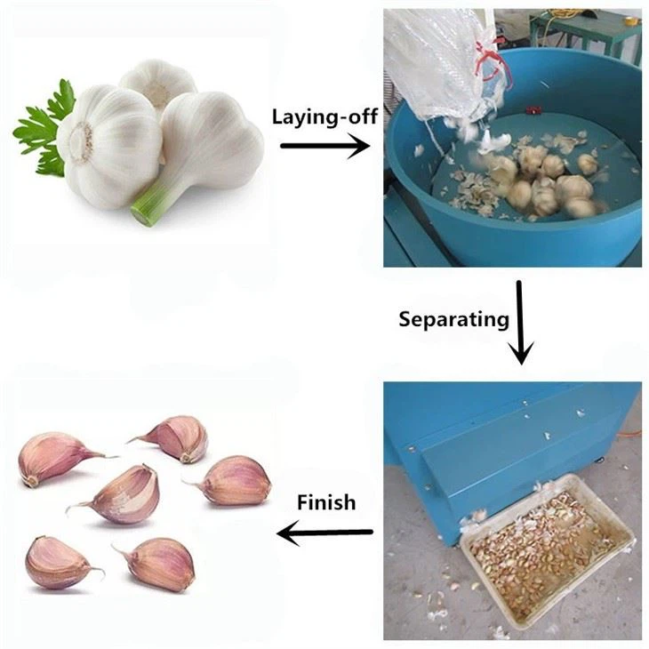 Garlic Separator