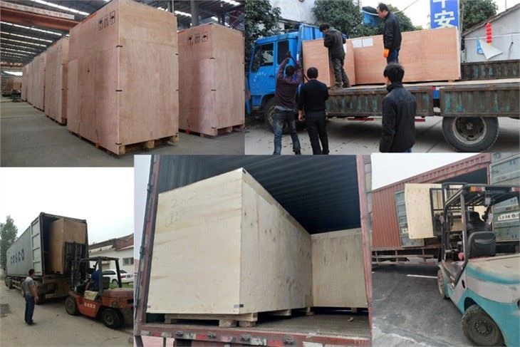 Screw Oil Press Oil Presser